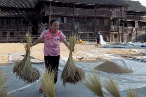 闻树义：百里侗乡