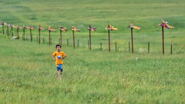 中国最大的草原！面积堪比一个浙江省，风景美到让人惊艳