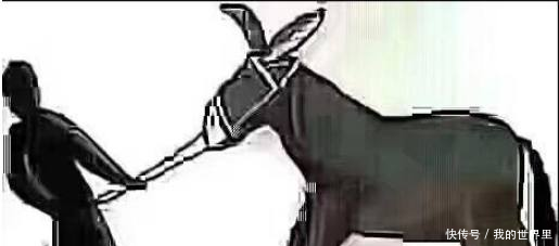 马蓉卖惨哭诉欲洗白，宝强律师两张图回应，网友驴唇不对马嘴