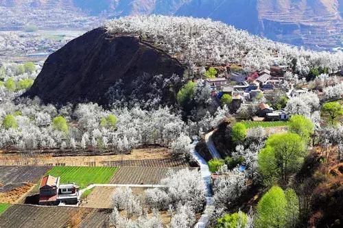 三月，去看中国最美春光