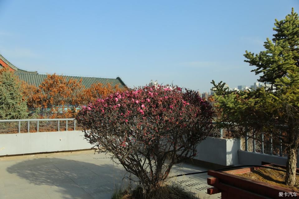  『兰州』大王泒我去巡山【2】兰州碑林