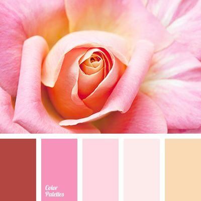 初秋这些颜色穿在一起，显白又高级!