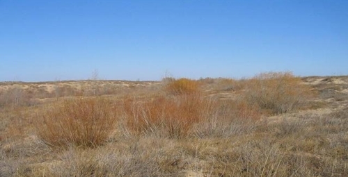 我国大量粮食靠进口，农民土地荒着，袁隆平讲出了现实