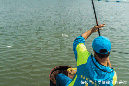 浅水:浅水钓鲫鱼,为啥容易跑鱼?因为这5个地方你搞错了