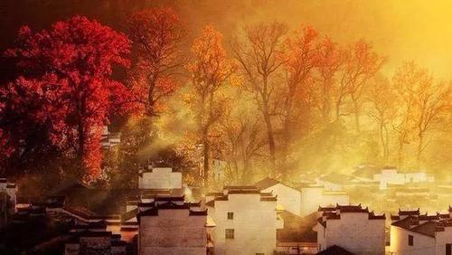 一旦去了这些地方，其他就都成了将就！