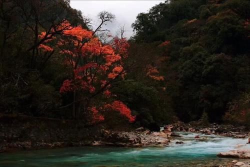 四川有一处大峡谷，景色“可媲美九寨沟”，但是却少有人知