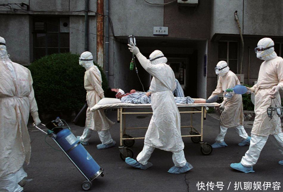 当年的非典疫情,果子狸背了16年黑锅,真正