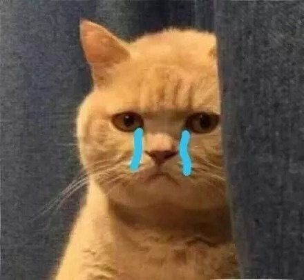 《香蜜》天后退微博,女医生被逼自杀:你永远不知道喷子有多可怕!