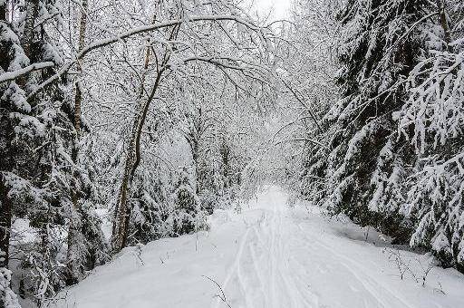 北方农村寒冷的冬天有这些 而南方人却很少见