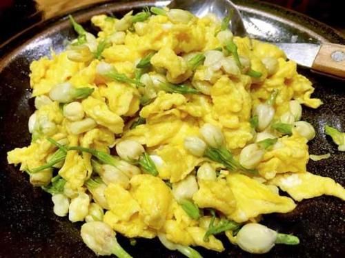  「家里」家里养这3种花赚了，不仅漂亮还好吃，炒鸡蛋贼美味！