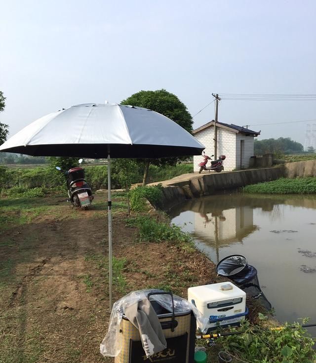  一小■秀一小拔鱼获，亲自动手钓上、剖洗、再黄焖