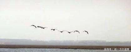 法库县獾子洞水库除了5万斤鱼被“热死”，还有您不知道的秘密！