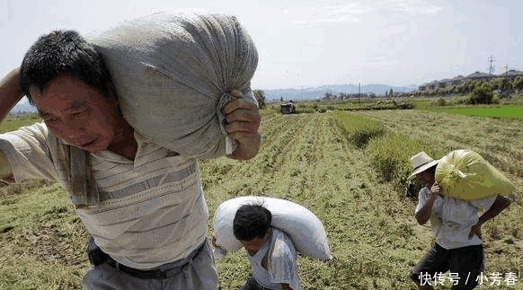 土地确权后, 国家会启动新一轮分地吗? 权威解答来了! 你满意吗?