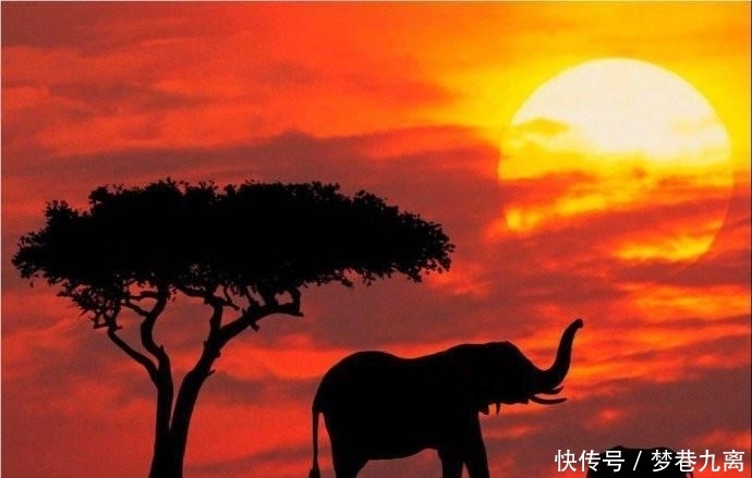  【非洲】非洲人：捐给我们的旧衣服很舒服，但背后的中文看不懂