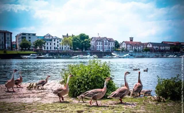  『中世纪』60几岁的古城堡之途为什么能一直维持“青春年少”？