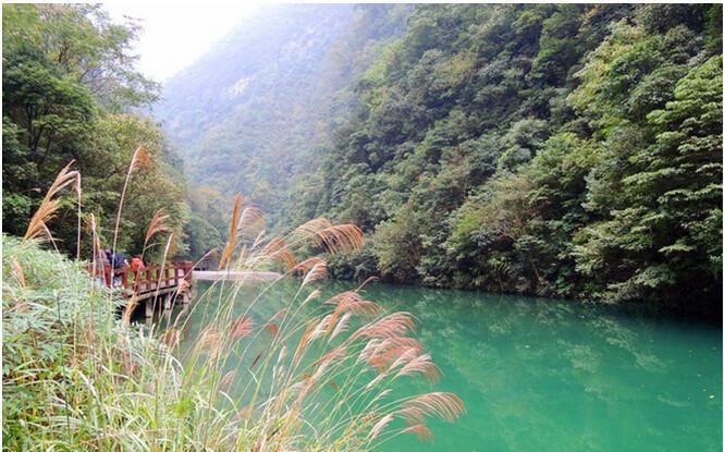 隐藏在南川的绿野仙踪，避暑旅游，清凉打卡不容错过！