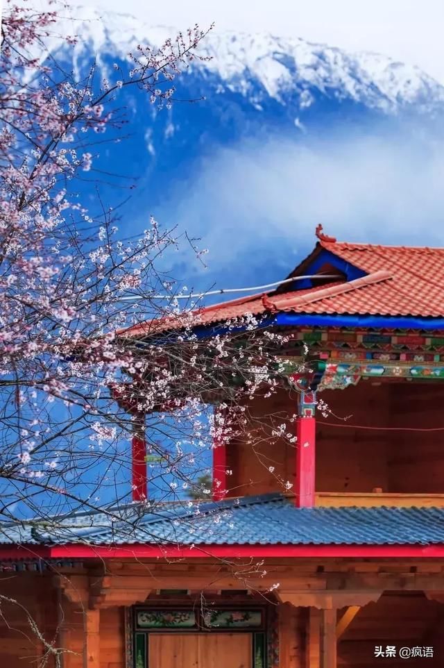 这几个地方景色太美还免费，网友大呼：辞职也要去看看