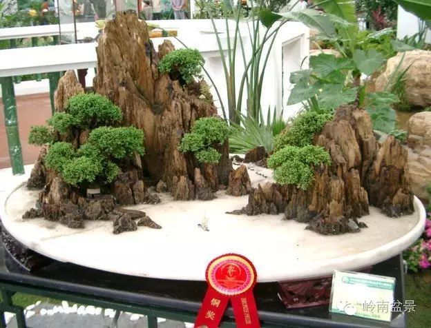 盆景构景十种风格