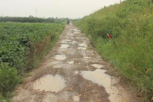  补贴：好消息！2019年农民不种地也能拿补贴了，最少拿1000元，