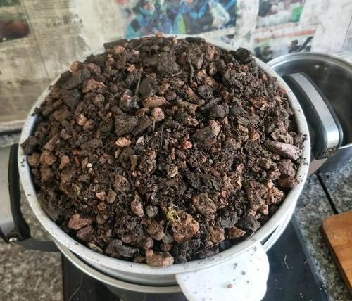  【盆土】兰花看着不爽，那就分苗分盆吧，一盆变三盆，盆土消毒方式一绝