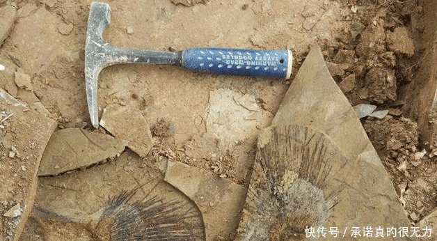  环境|假如青藏高原不隆起，我国南方是什么环境