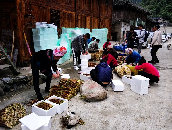  「电商」2020年，不想出去打工的农民，不妨试试以下3个职业，不