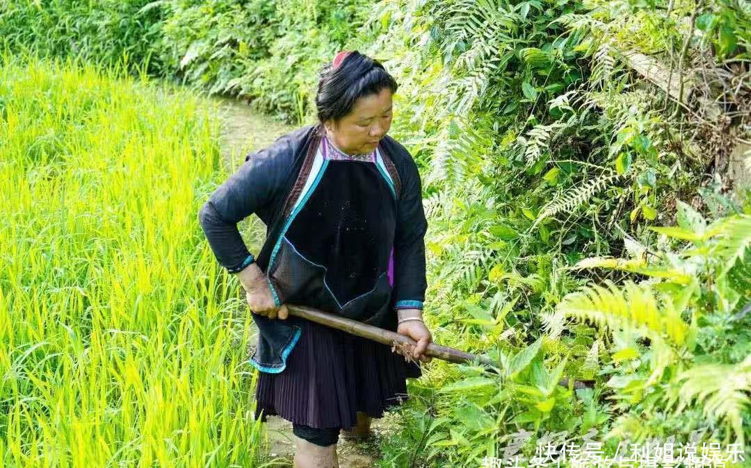 此村为守住“一棵草”的秘密,700年男女不出村嫁娶?游客皆好奇