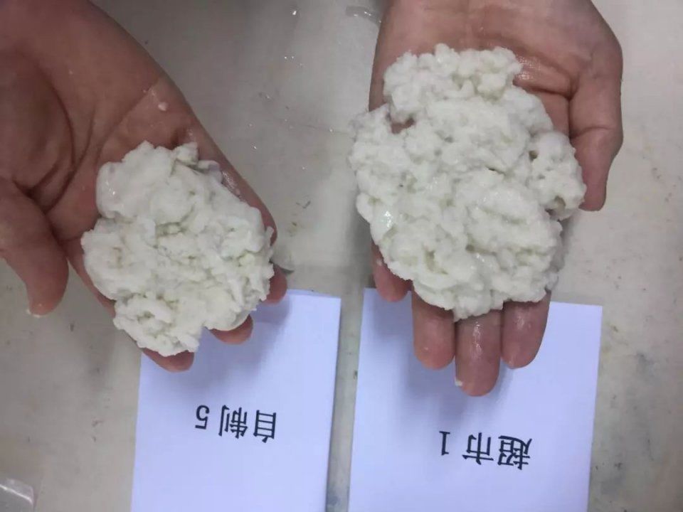 馒头里面有纸浆?宁夏食药监局亲测证实，系谣言!