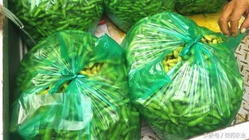 农村大姐种植一种赚钱的作物,鲜品卖2元一斤,