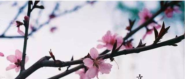  难逢双立春|20年将至，20年为鼠年双春年，鼠年双春年好不好？看