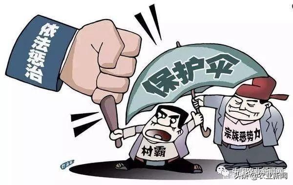 2019年，国家出手彻底严查农村4类违法乱象，农民朋友要注意！