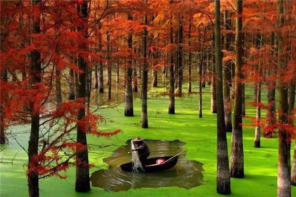 2019杭州最美旅游时间表出炉 承包你一整年的旅行！