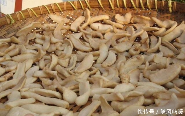 在农村这四种土货没人看得起，但是却十分美味，城里人很稀罕！