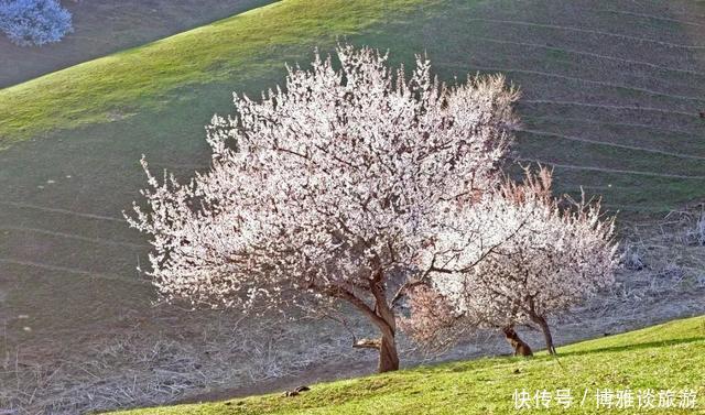  #静好#三月万物复苏，愿你我无恙，岁月静好