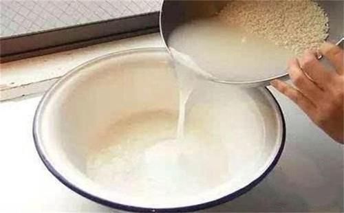  #氮钾肥#养绿萝，3种“万能肥”抵过正规肥，叶子绿的像刷漆，再也不黄叶