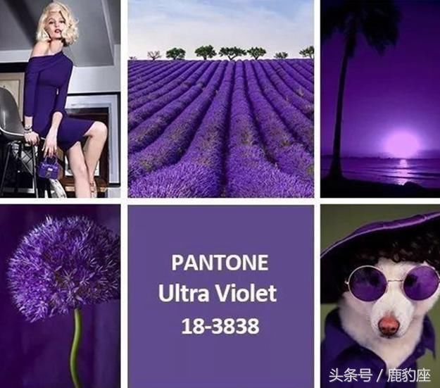 2018流行什么香水,这几款年度流行色系香水包