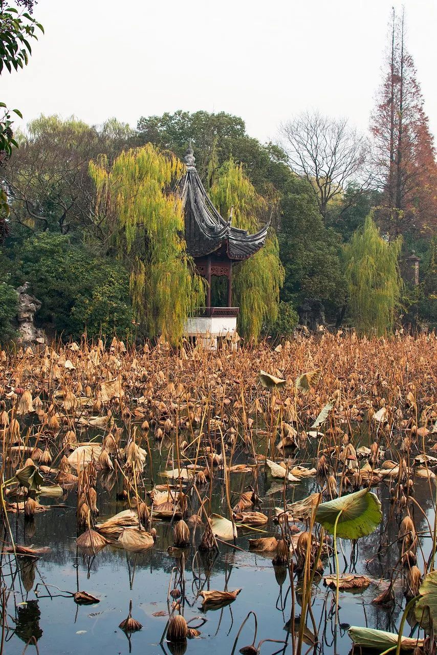 没有乌镇周庄盛名，它是中国第一座被列入世界文化遗产的江南小镇