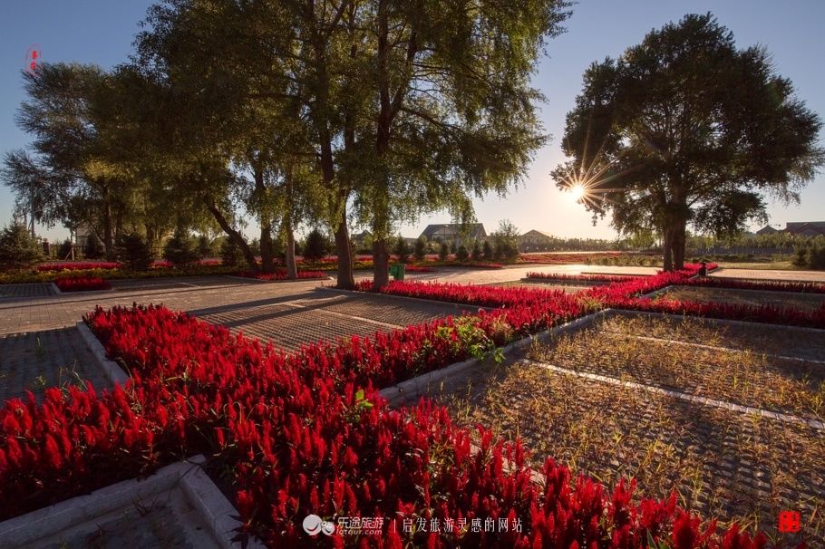 风吹草低见牛羊 说的就是这儿