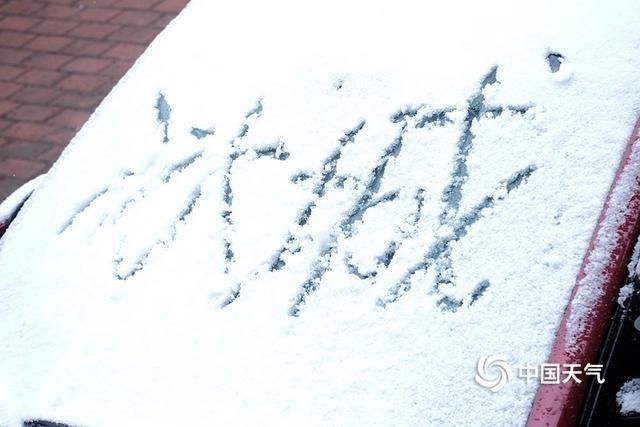  [谷雨]谷雨时节 哈尔滨主城区雪落街头