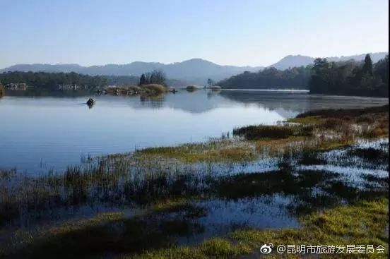 刚刚公布!云南这4个地方被国家看上，成为康养城市!有你在的地方