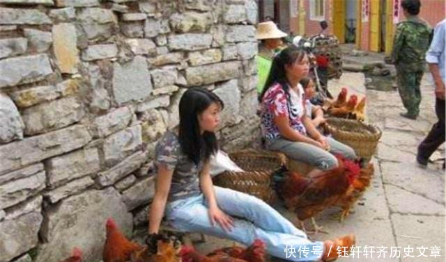  老农@农村俗语“鸡是千日虫，再养就会穷”，啥意思老农为何如此