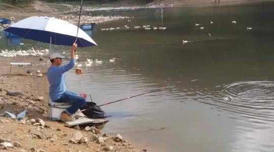  钓上岸@漂相杂乱又不是小鱼闹窝,遇见滑口鱼时应该怎么钓