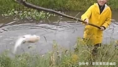  『发现』男子发现烂泥沟内有异常，扔下一块泡沫后的收获却把他给乐坏了