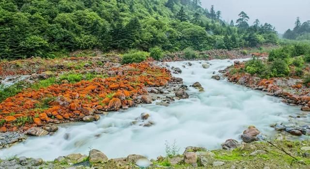 初秋自驾｜成都出发这条路线，藏着你向往的秋天！