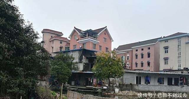 在家乡经营这些生意，不比打工差！不想外出的农村人，不妨考虑下