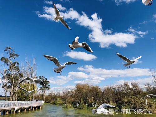 冬日里来一次说走就走的肆意温暖-昆明