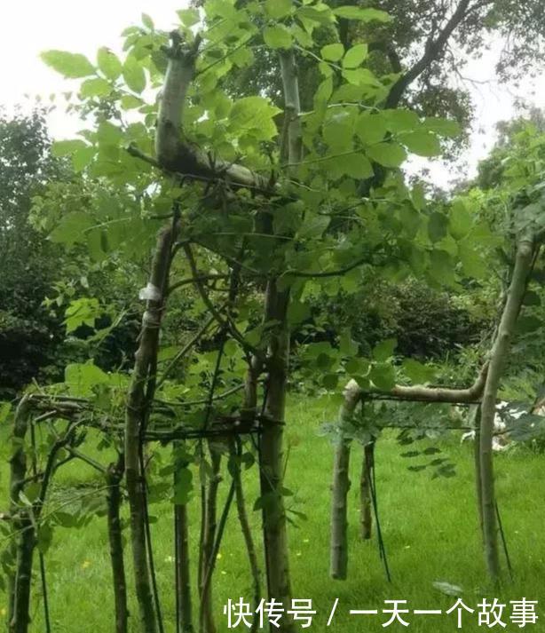  「椅子」大爷花10年“种椅子”，一把卖80000！这些文玩在家也能