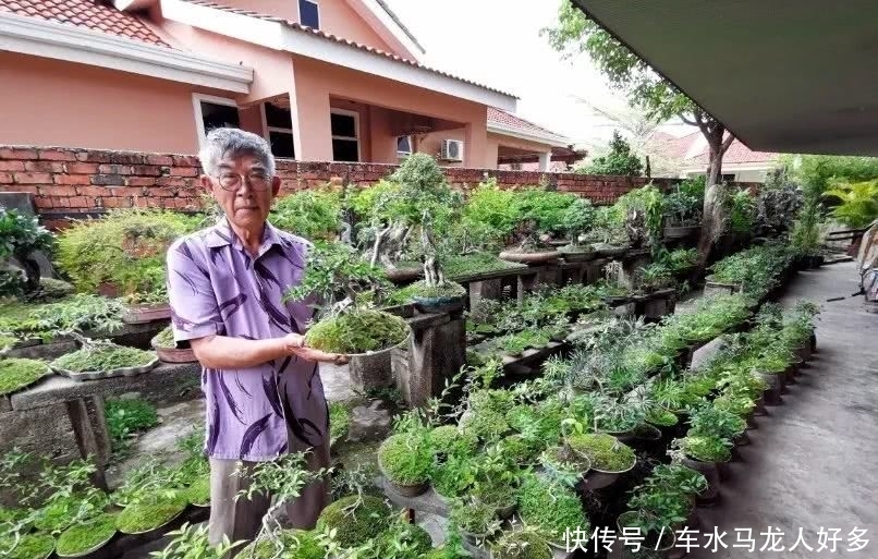  「小贩」庭院摆满逾200盆栽景 街头小贩的掌中盆景