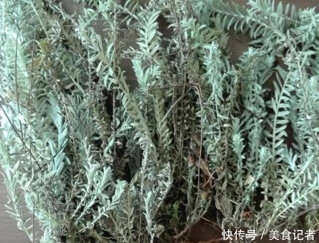  【人称】生长在石缝里，人称“鹿茸草”，能当盆栽观赏，值钱，也珍贵！