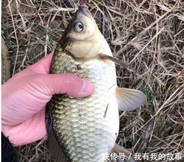  钓友@连竿时突然停口是大鱼进窝别高兴太早，在春季这些可能性更大